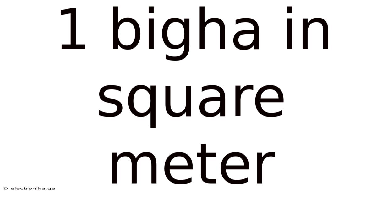 1 Bigha In Square Meter
