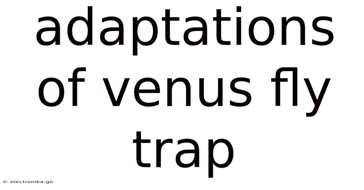 Adaptations Of Venus Fly Trap