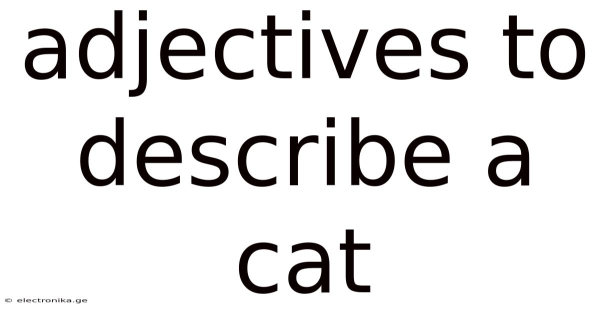 Adjectives To Describe A Cat