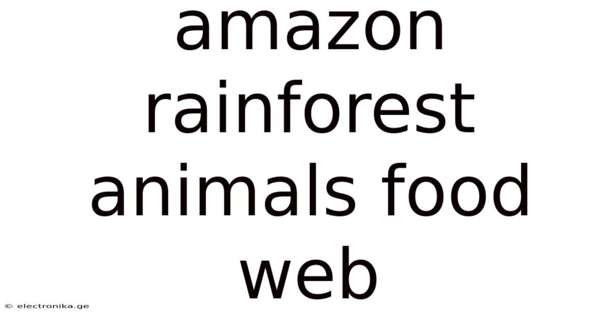 Amazon Rainforest Animals Food Web