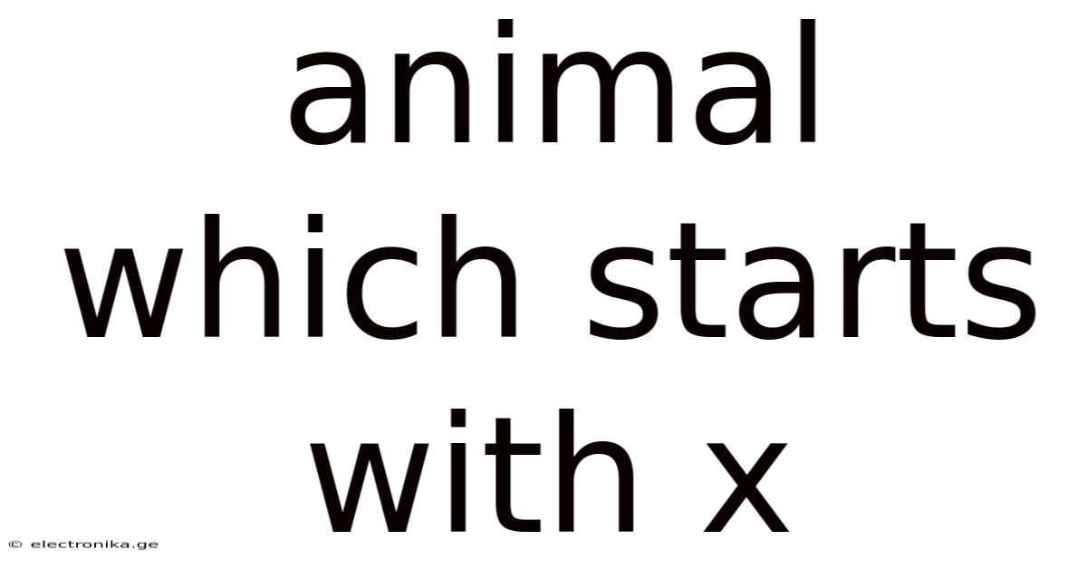 Animal Which Starts With X