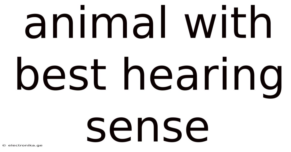 Animal With Best Hearing Sense