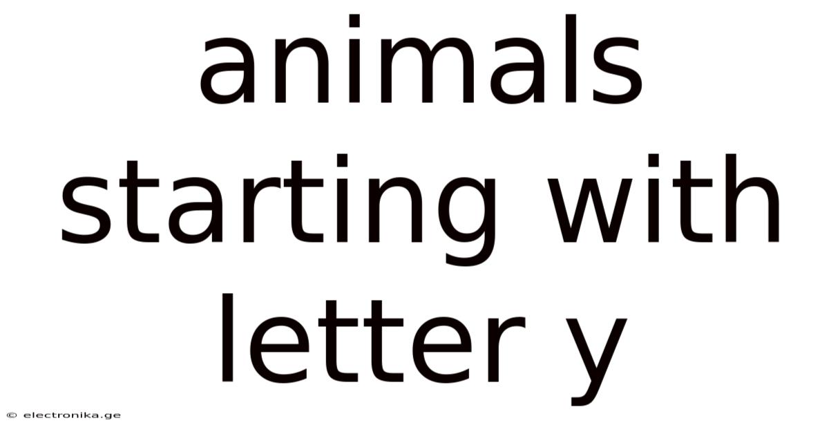 Animals Starting With Letter Y