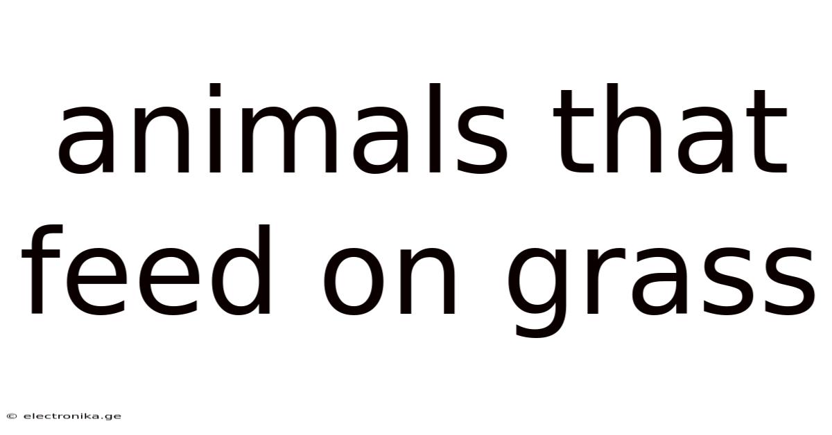 Animals That Feed On Grass
