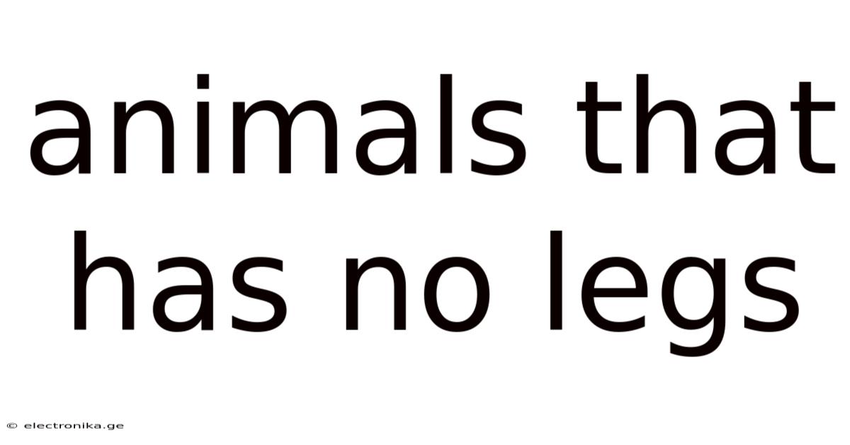 Animals That Has No Legs