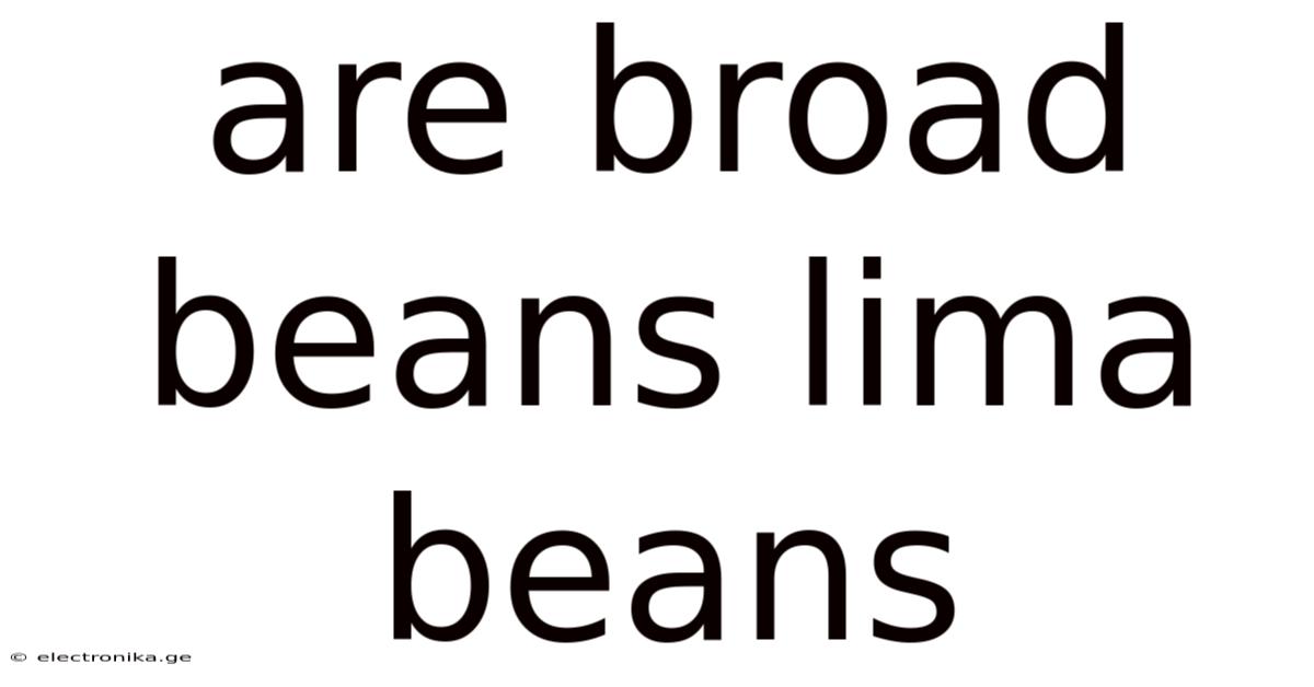 Are Broad Beans Lima Beans