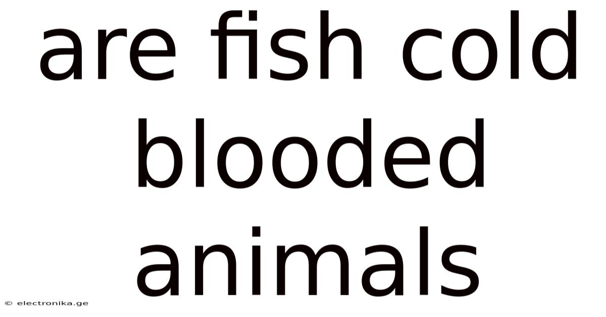Are Fish Cold Blooded Animals