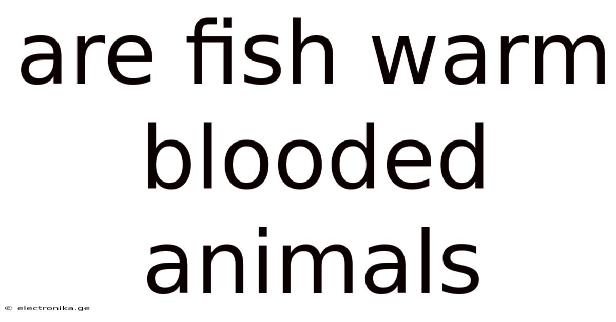 Are Fish Warm Blooded Animals