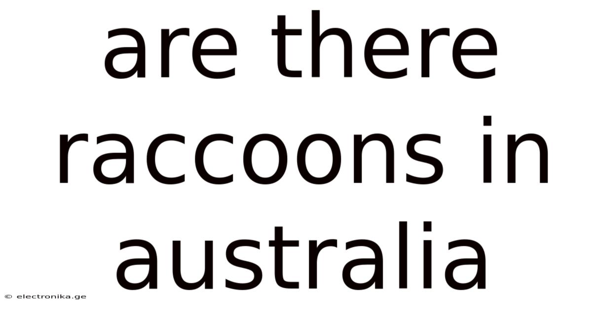 Are There Raccoons In Australia