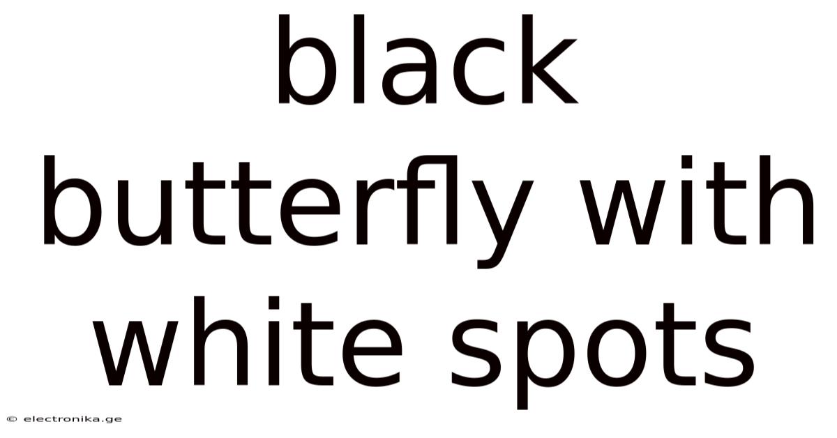 Black Butterfly With White Spots