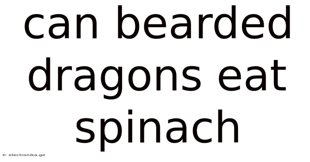 Can Bearded Dragons Eat Spinach