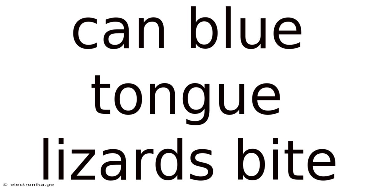 Can Blue Tongue Lizards Bite