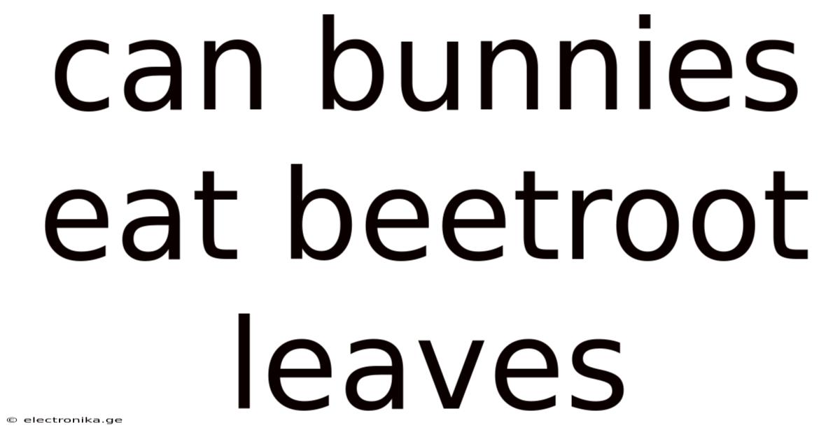 Can Bunnies Eat Beetroot Leaves