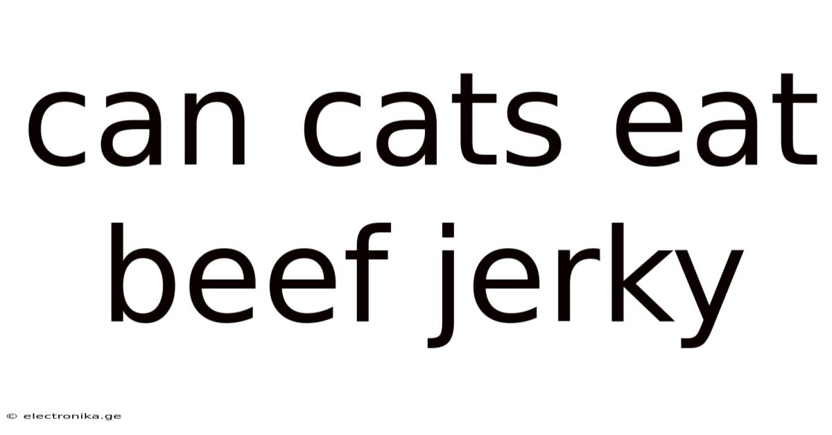 Can Cats Eat Beef Jerky