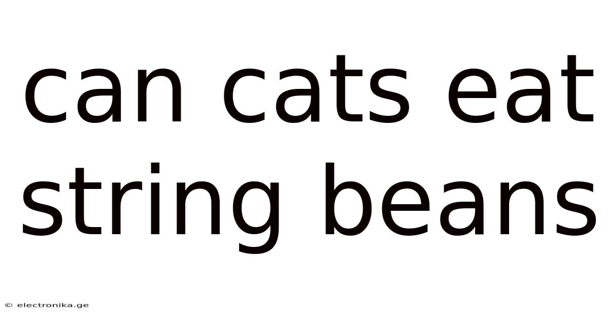 Can Cats Eat String Beans