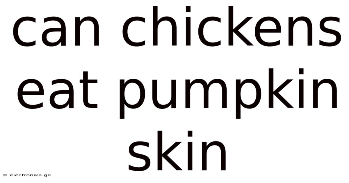 Can Chickens Eat Pumpkin Skin