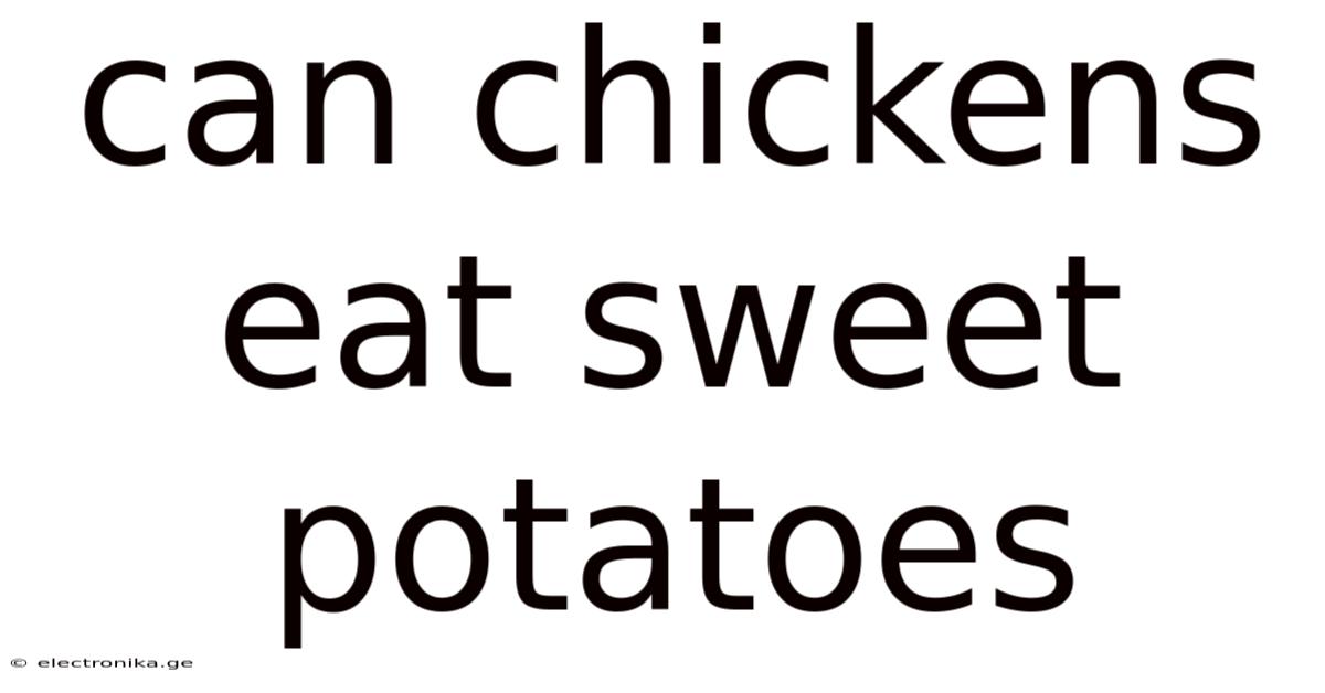 Can Chickens Eat Sweet Potatoes