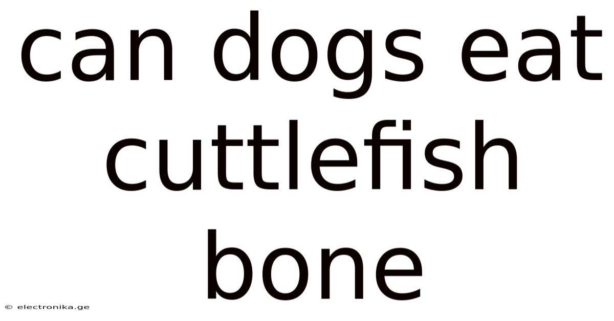 Can Dogs Eat Cuttlefish Bone