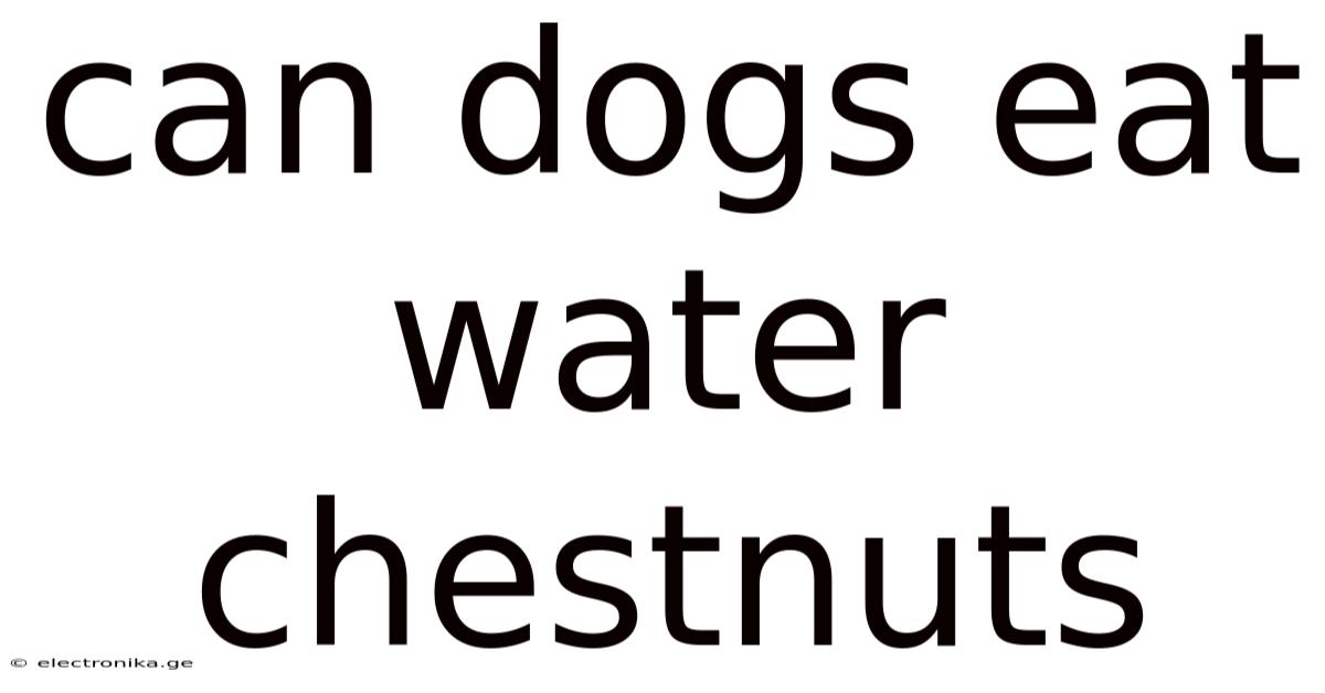 Can Dogs Eat Water Chestnuts