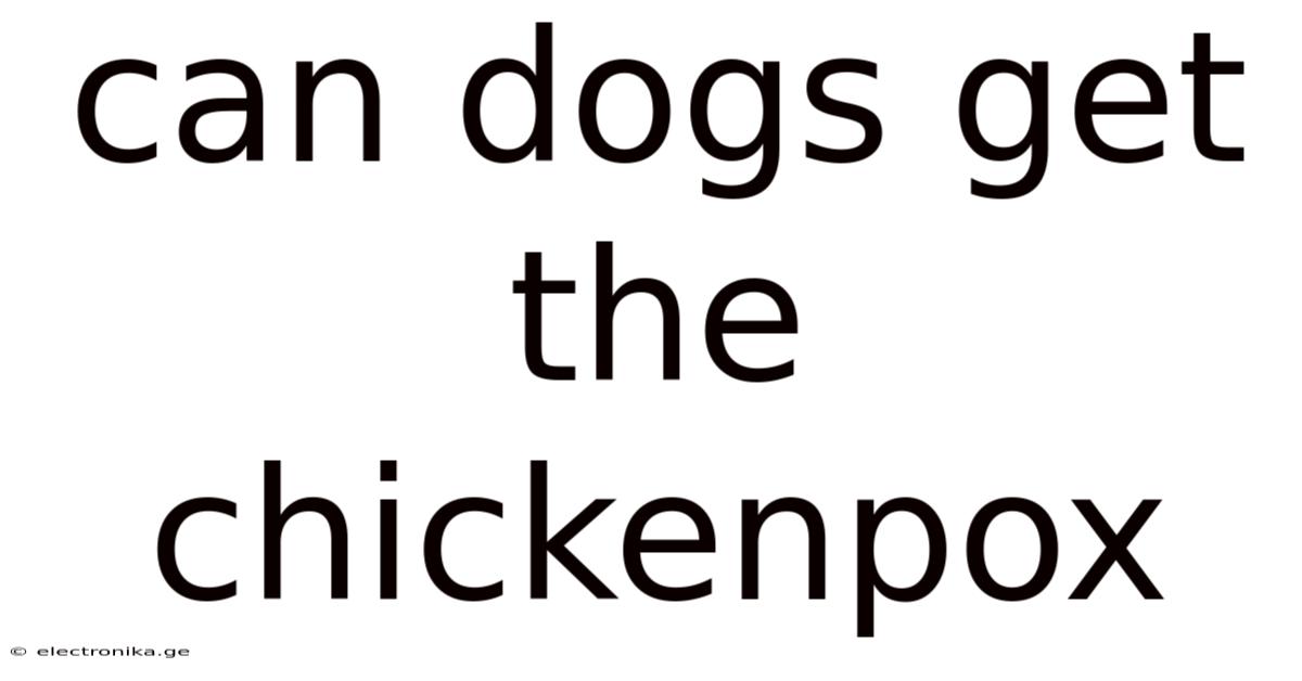 Can Dogs Get The Chickenpox