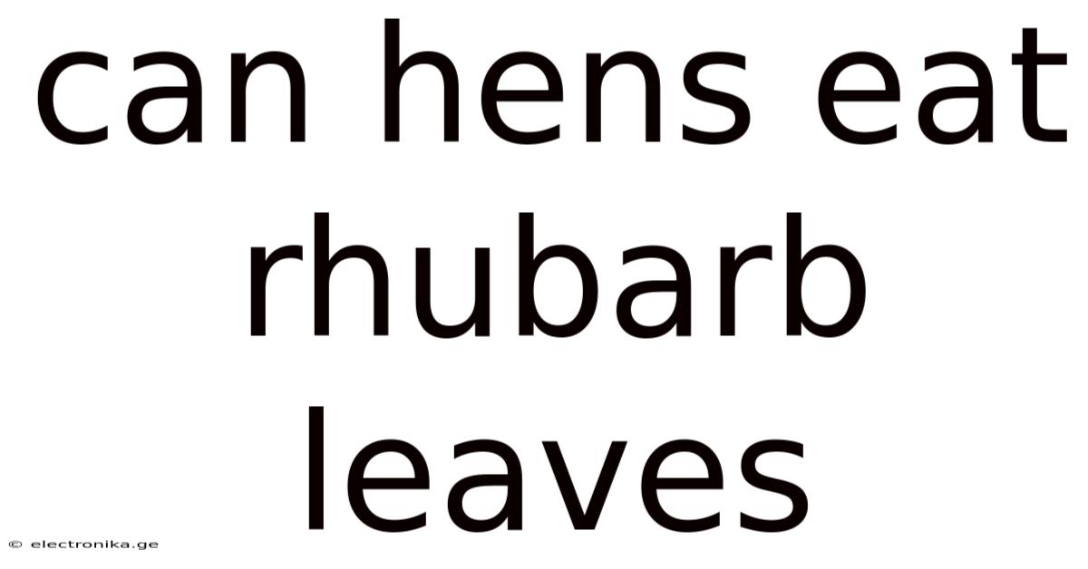 Can Hens Eat Rhubarb Leaves