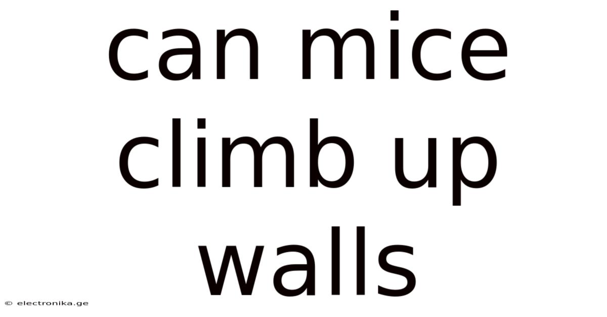 Can Mice Climb Up Walls