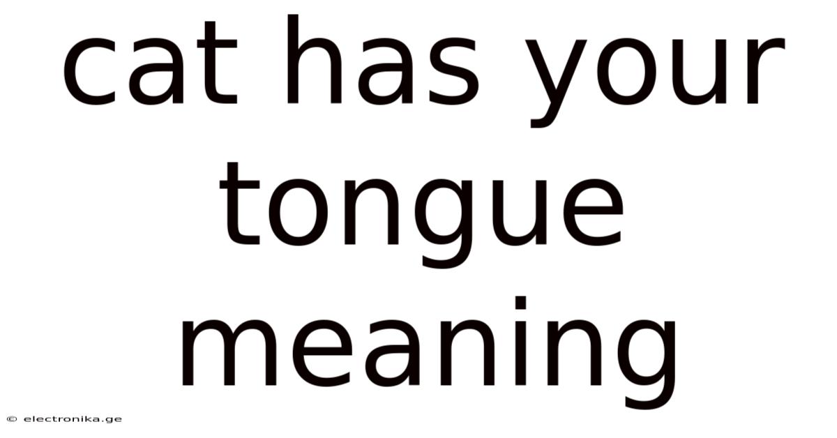 Cat Has Your Tongue Meaning