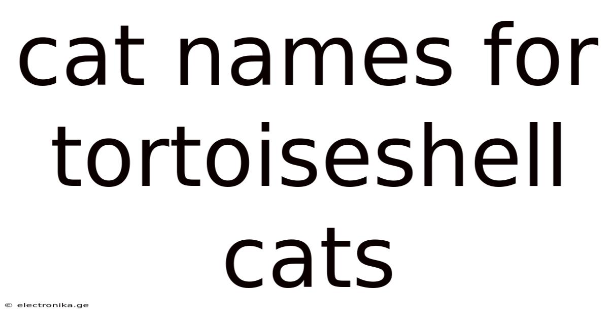 Cat Names For Tortoiseshell Cats