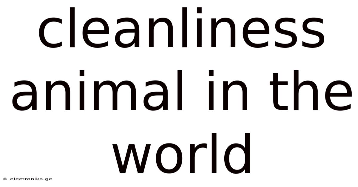 Cleanliness Animal In The World