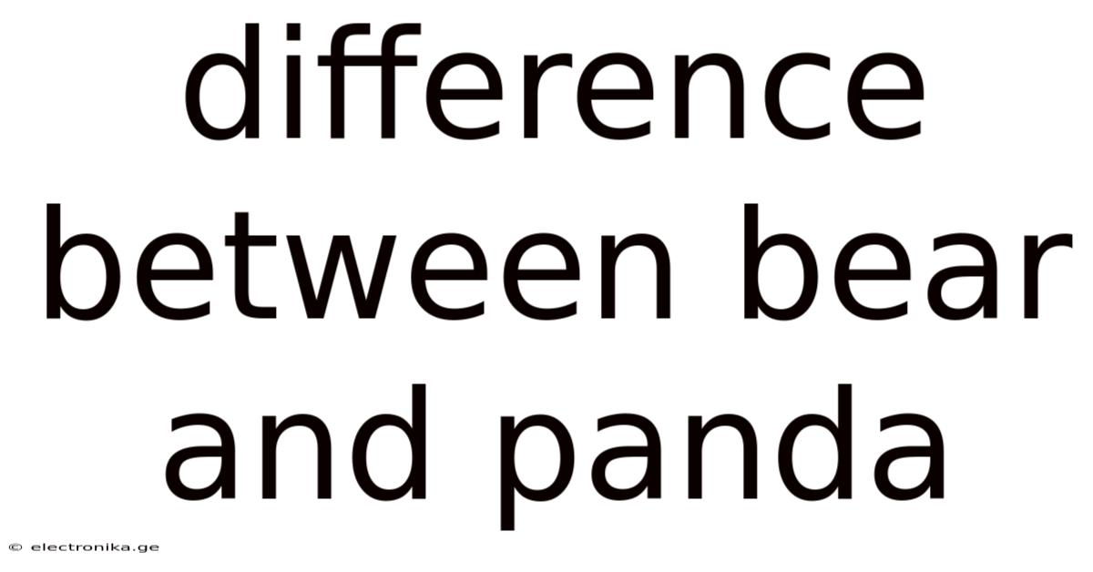 Difference Between Bear And Panda