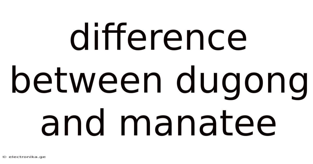 Difference Between Dugong And Manatee