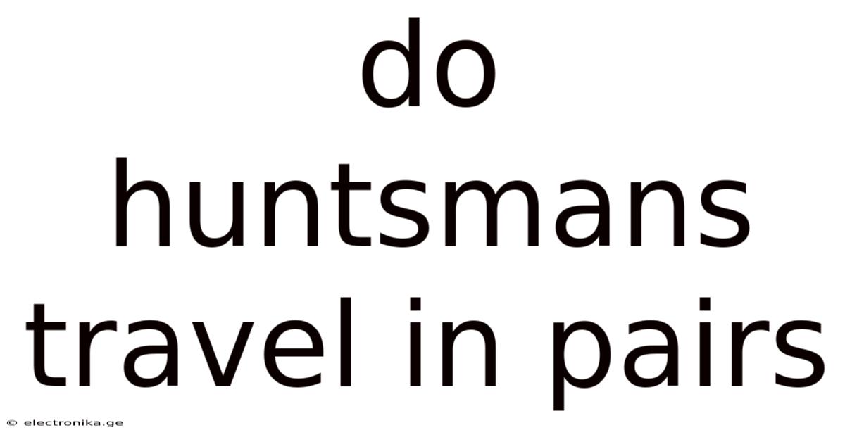 Do Huntsmans Travel In Pairs