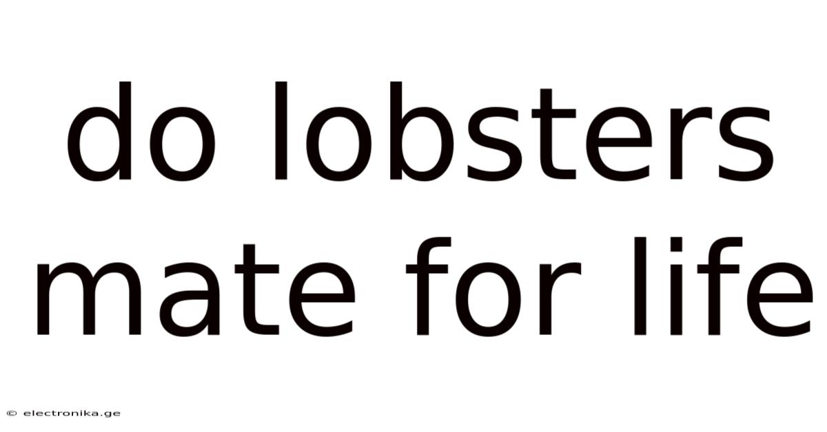 Do Lobsters Mate For Life