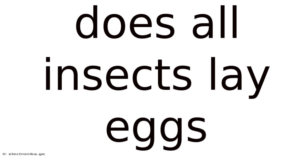 Does All Insects Lay Eggs