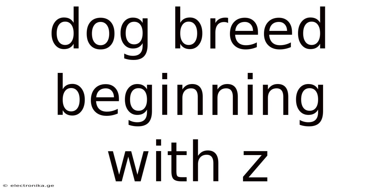 Dog Breed Beginning With Z