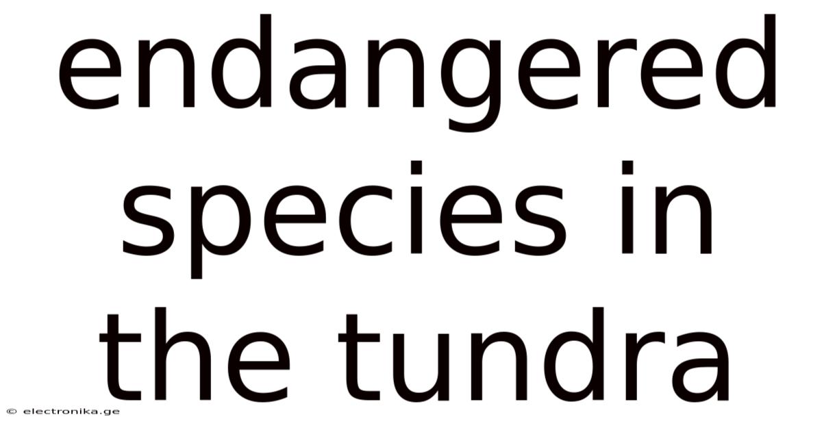 Endangered Species In The Tundra