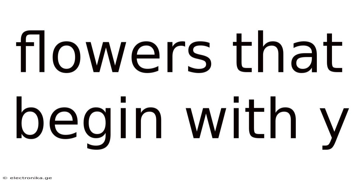 Flowers That Begin With Y