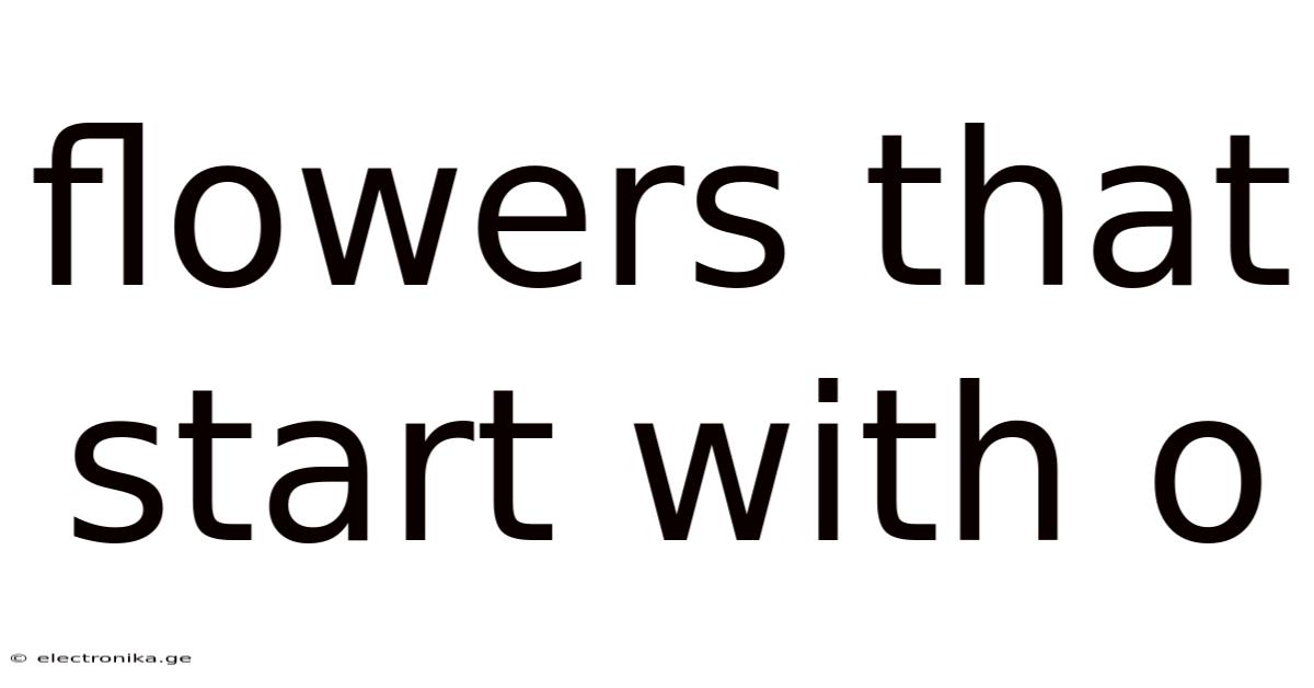 Flowers That Start With O