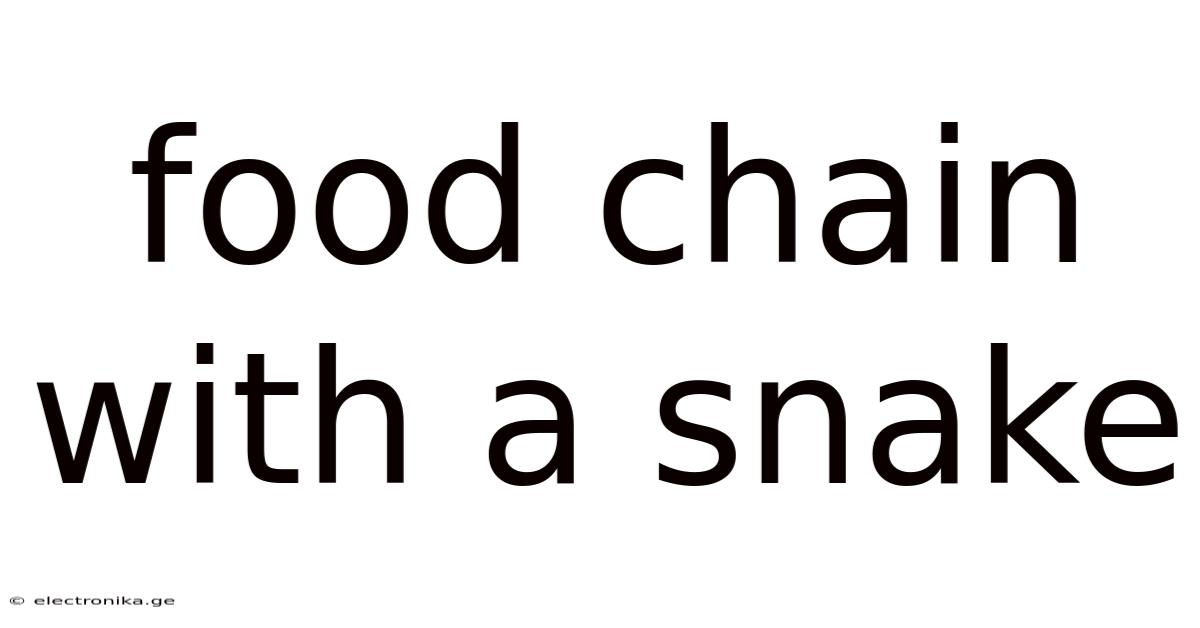 Food Chain With A Snake