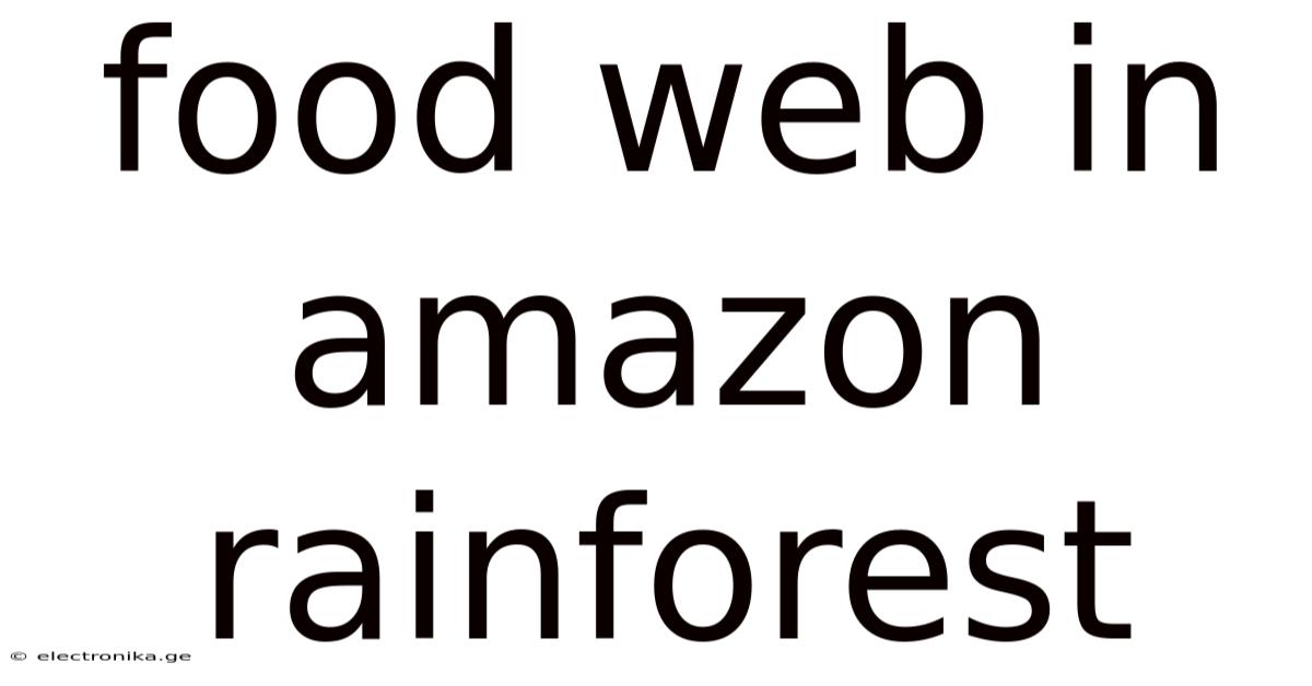 Food Web In Amazon Rainforest