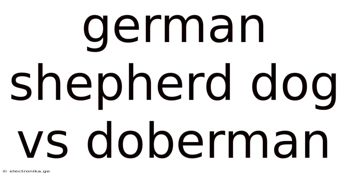 German Shepherd Dog Vs Doberman