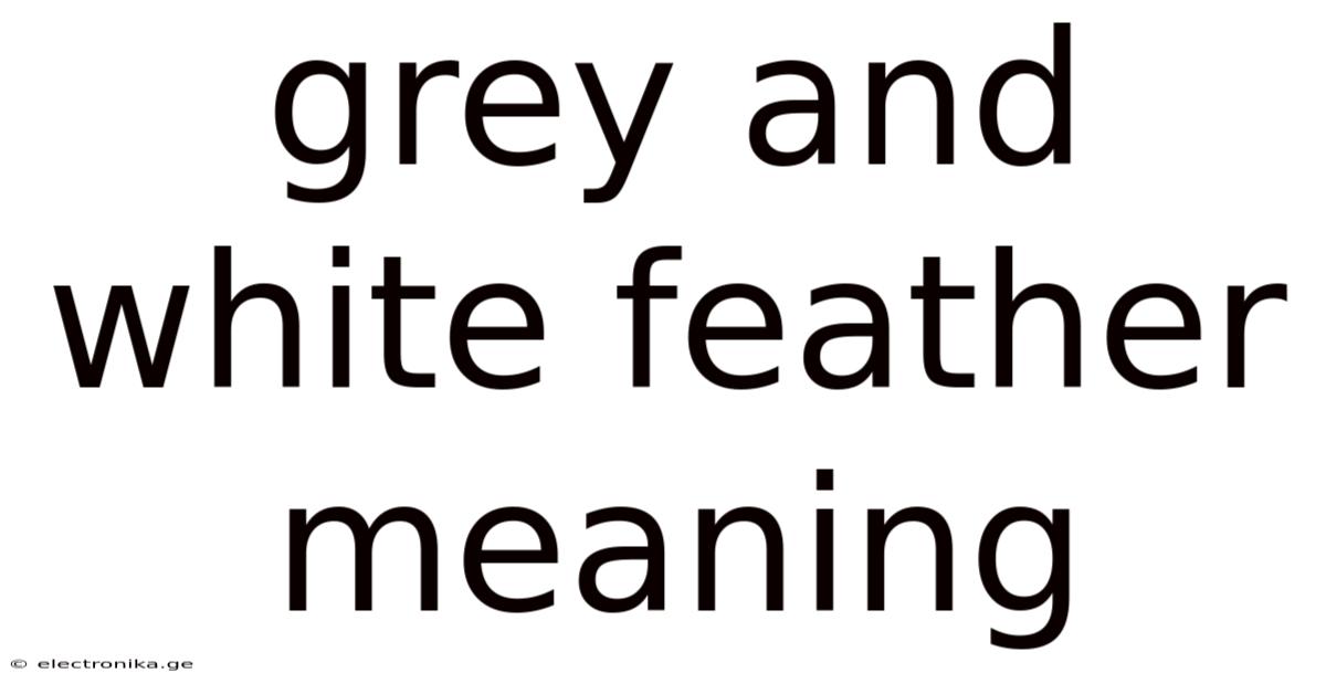 Grey And White Feather Meaning