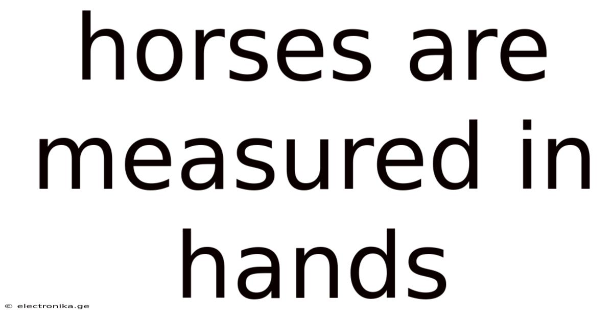 Horses Are Measured In Hands
