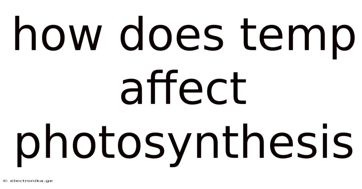 How Does Temp Affect Photosynthesis
