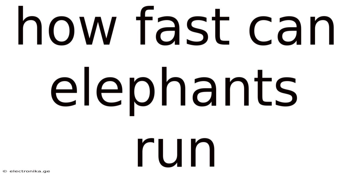 How Fast Can Elephants Run