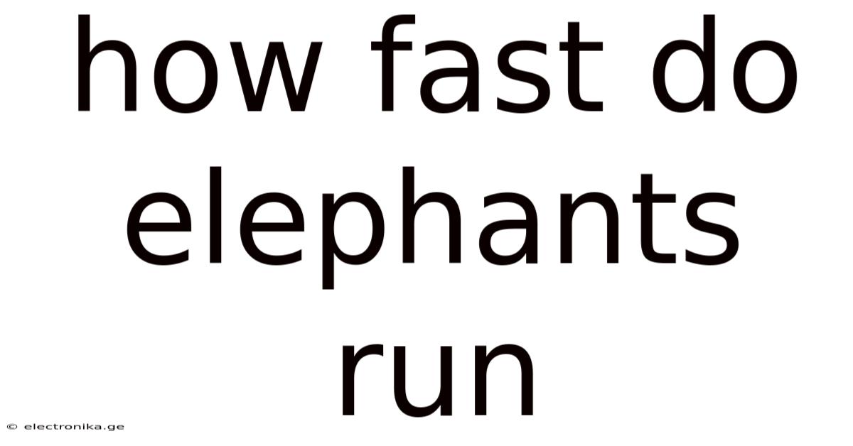 How Fast Do Elephants Run