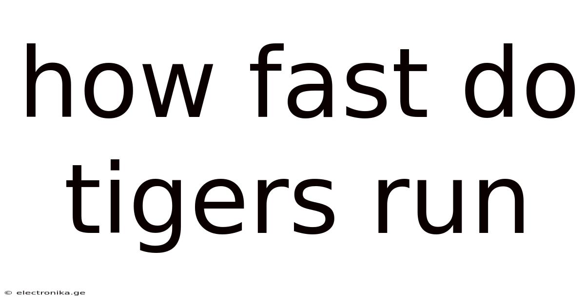 How Fast Do Tigers Run