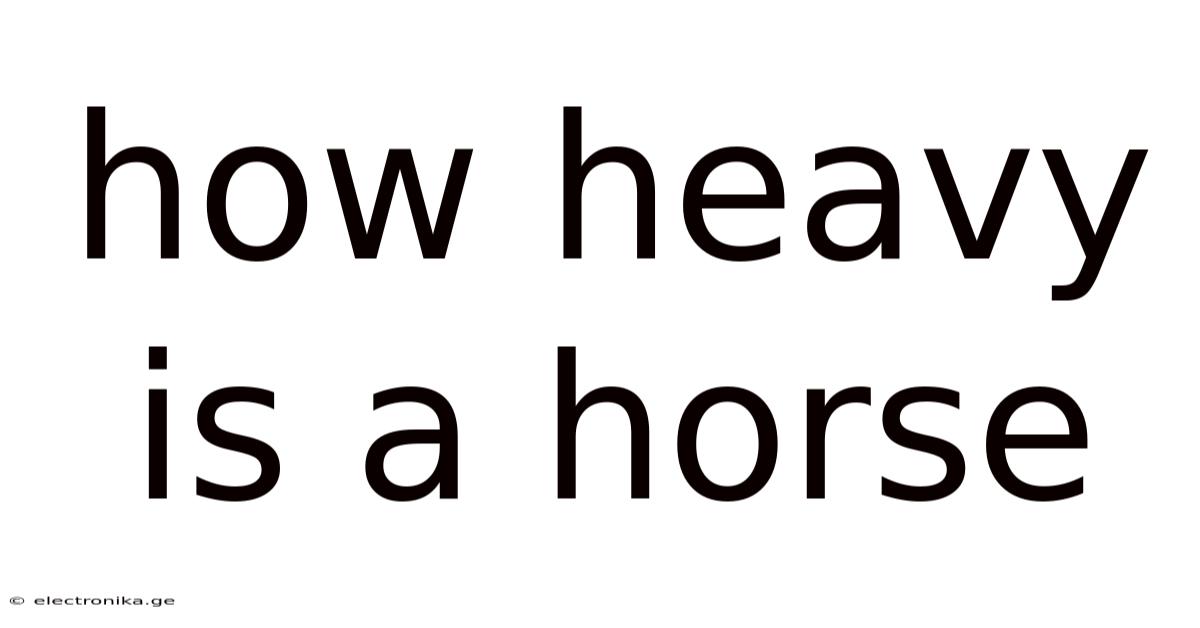How Heavy Is A Horse
