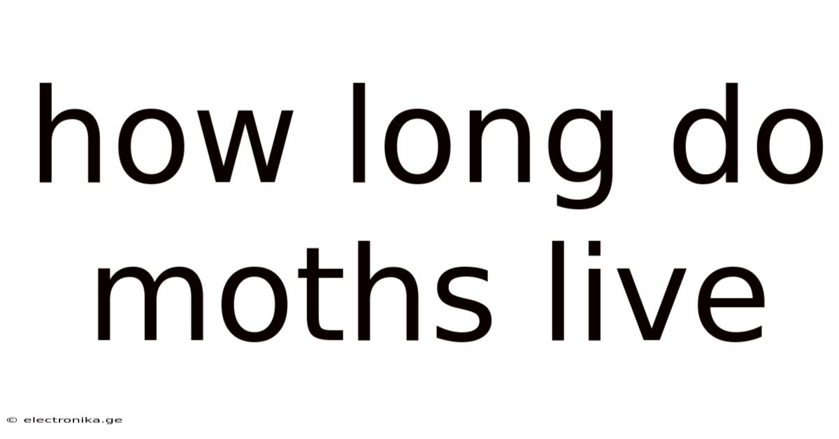How Long Do Moths Live