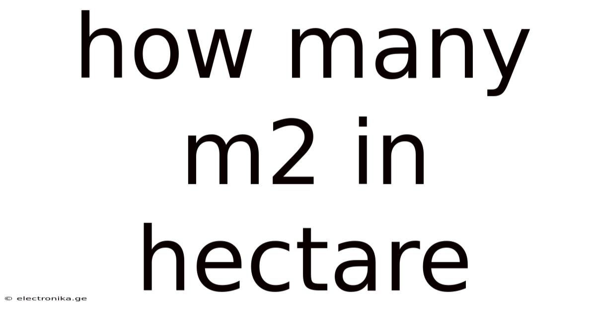 How Many M2 In Hectare